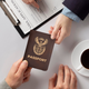 Brown to Silver Laserable PU Patch Passport Holder