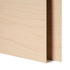 1/8" Plywood Sheets (6pcs)